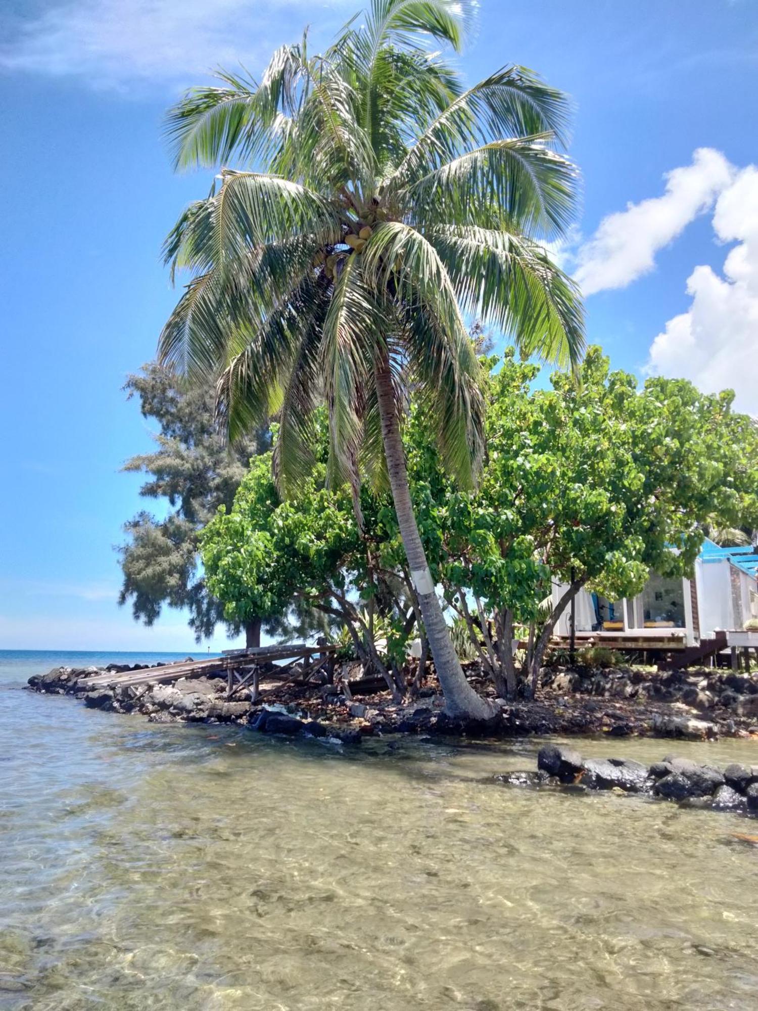 Bungalow Vue Lagon 180 Degre, La Maison Bleue Moorea Extérieur photo